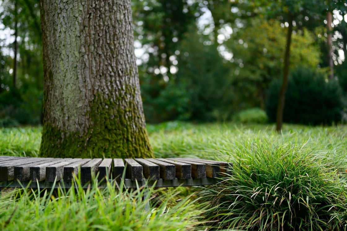 mariya_m-garden-4605481_1920
